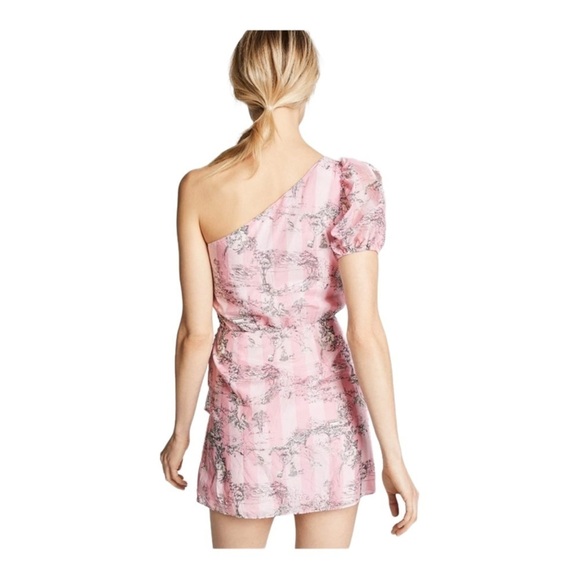 NWT LoveShackFancy Peyton One Shoulder Mini Dress Pink Stripe Size P - Picture 5 of 6